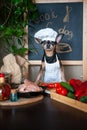 Dog in a chef`s cap and apron at a table cooking food in the kitchen. Healthy dog Ã¢â¬â¹Ã¢â¬â¹food concept